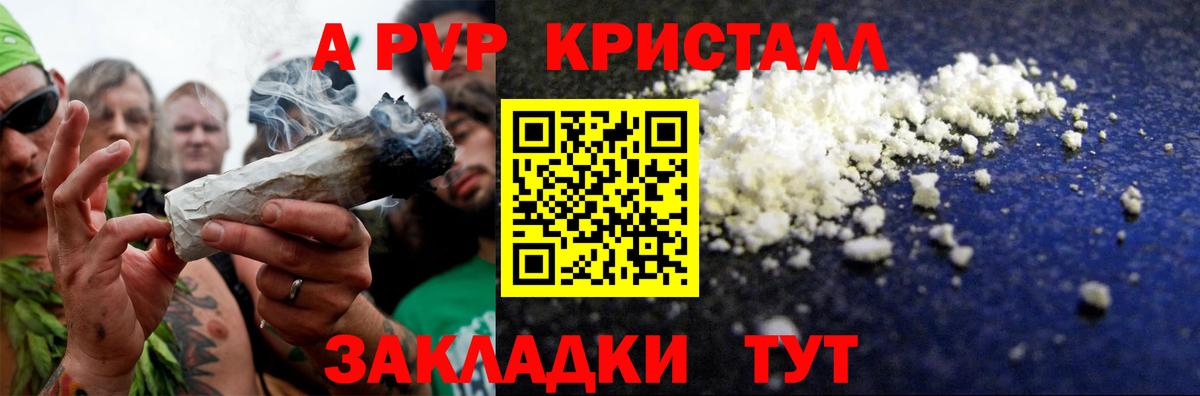 А ПВП крисы CK Губкин