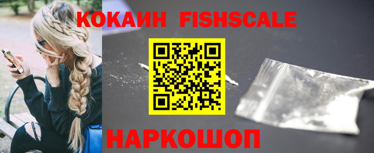 Губкин  COCAIN VHQ  COCAIN  COCAIN FishScale  Вход с VPN 